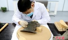 2018年中国官方受理文物违法举报168件，普通民众成主体力量